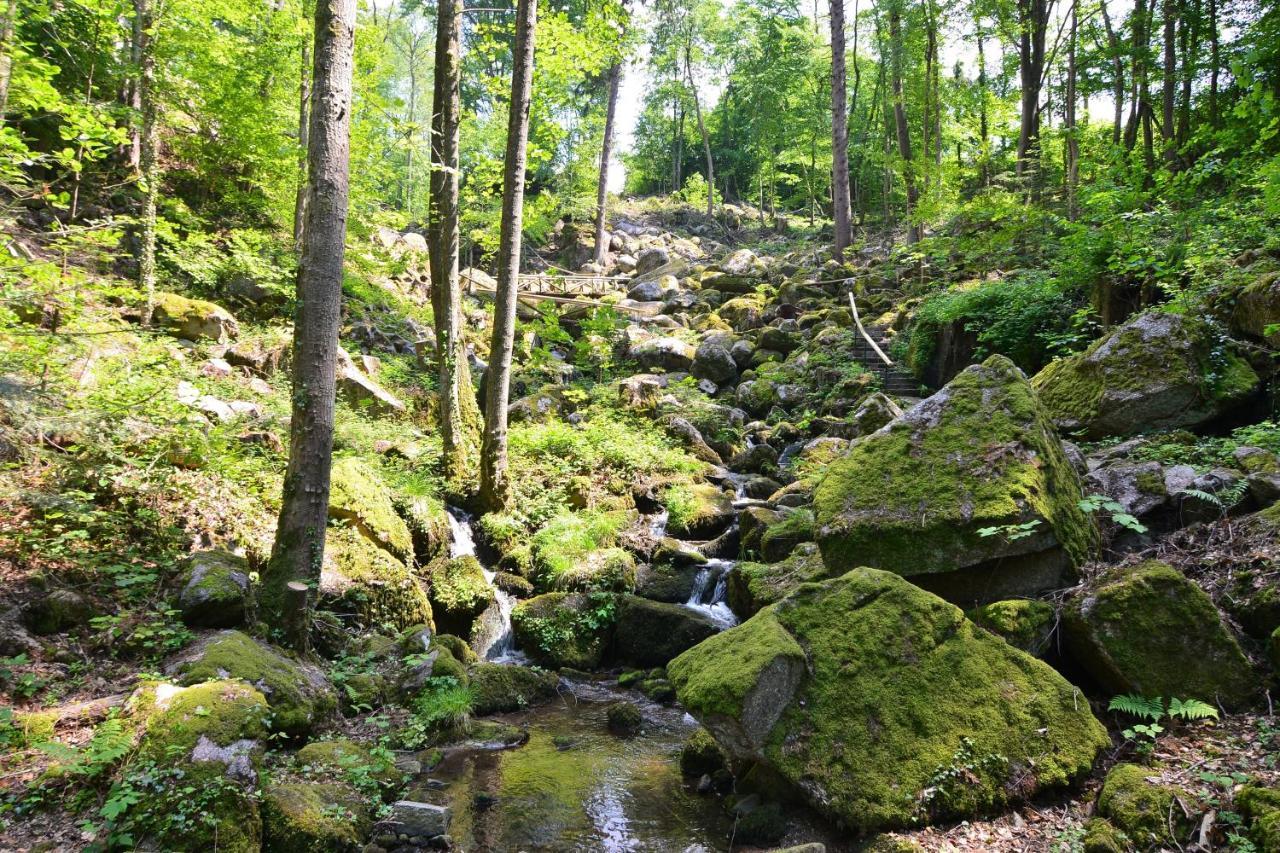 Relaxhotel Tannenhof Sasbachwalden Buitenkant foto